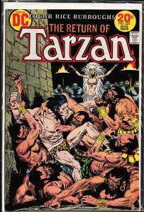 Edgar Rice Burroughs' Tarzan #222 (1973)