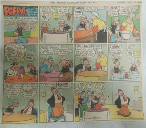 (39) Thimble Theatre (Popeye) by Bill Zaboley from 1946 Size: 11 x 15 inches +