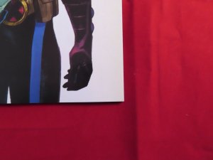 House of X #4 Pichelli Flower variant NM Marvel Scott Summers