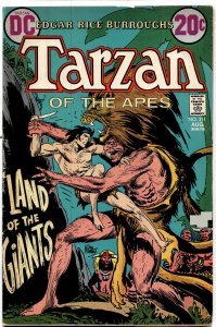 Edgar Rice Burroughs' Tarzan #211 (1972)