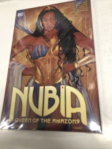 Nubia Queen Of The Amazons (2022) DC HC Stephanie Williams