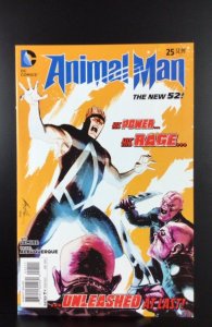 Animal Man #25 (2014)