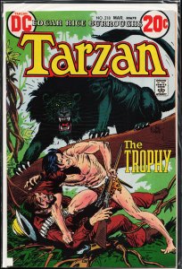 Edgar Rice Burroughs' Tarzan #218 (1973)