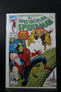The Spectacular Spider-Man #192 Direct Edition (1992)