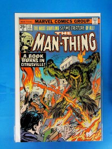 Man-Thing #17 (1975)
