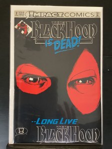 The Black Hood #2 (1992)