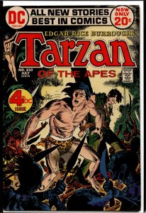 Edgar Rice Burroughs' Tarzan #210 (1972)