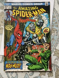 The Amazing Spider-Man #124 (1973) 1st man wolf med grade