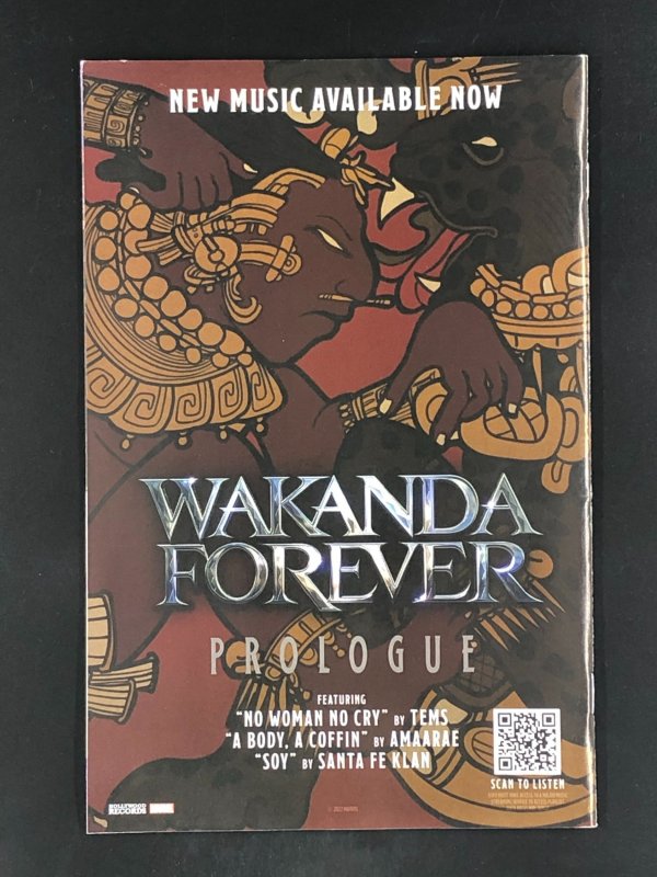 Wakanda #1 Second Print Cover (2022)