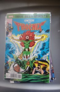 True Believers: Enter the Phoenix (2018)