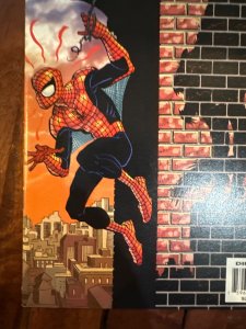 The Amazing Spider-Man #27 (2001)