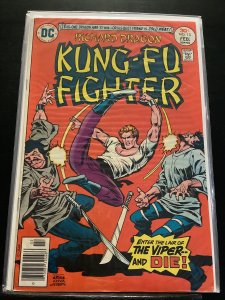 Richard Dragon, Kung Fu Fighter #13 (1977)
