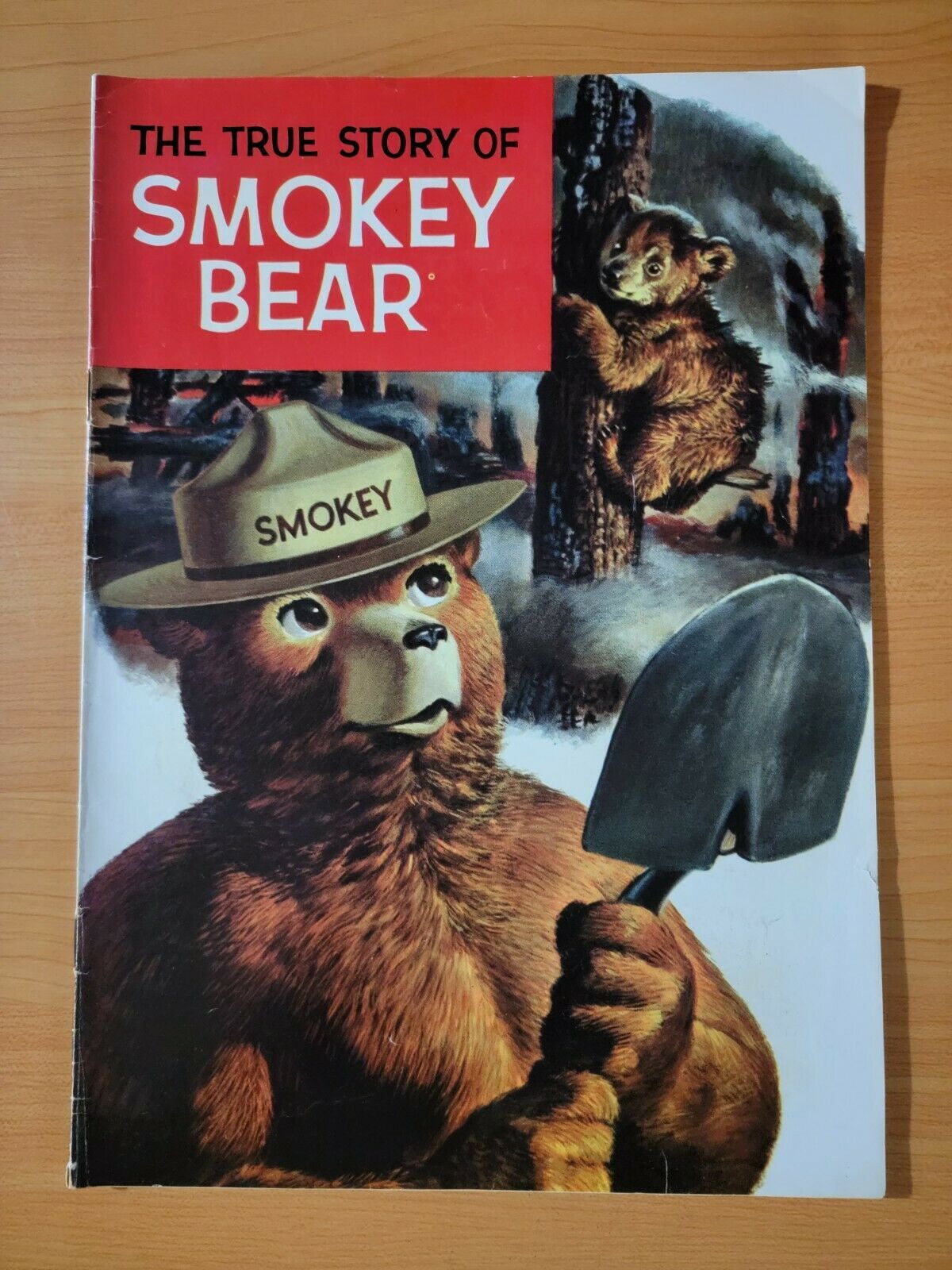 What Is The True Story Of Smokey The Bear