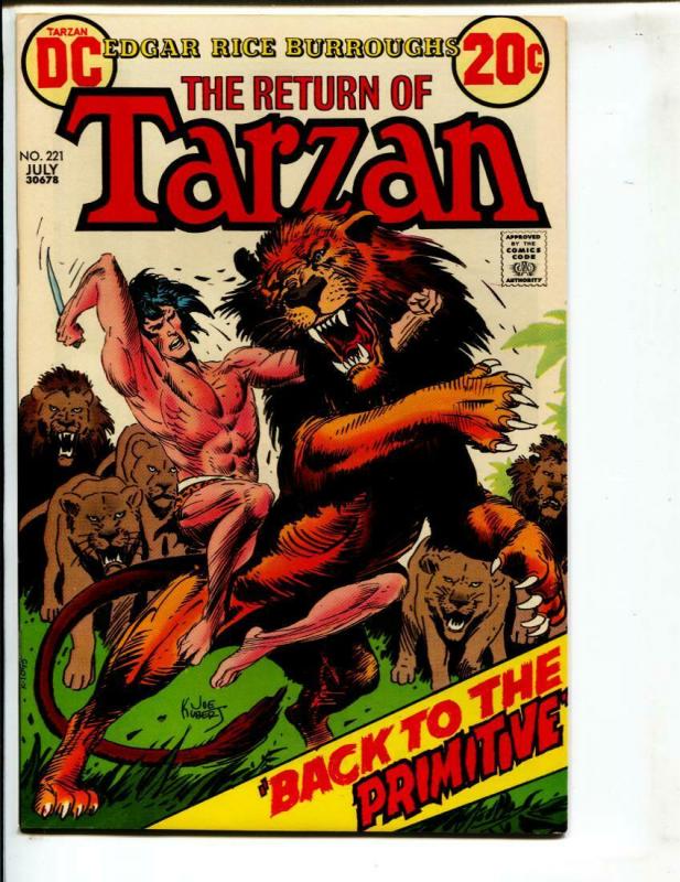 Tarzan-#221-1973-DC-BRONZE-AGE-Joe Kubert-NM-