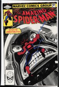 The Amazing Spider-Man #230 Direct Edition (1982) Spider-Man