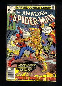 Amazing Spider-Man #173