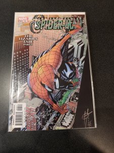 Spectacular Spider-Man #13 (2004)