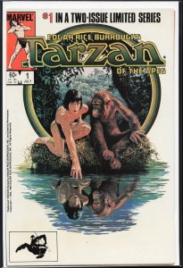 Tarzan of the Apes #1 Direct Edition (1984) Tarzan