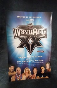 Batman: Death and the Maidens #8 (2004)