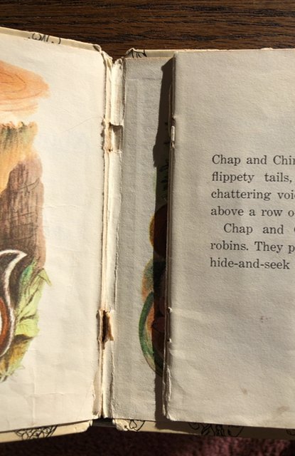 1965 Whitman two stories about Chap and chirpy detached