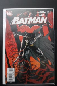 Batman #655 Direct Edition (2006)