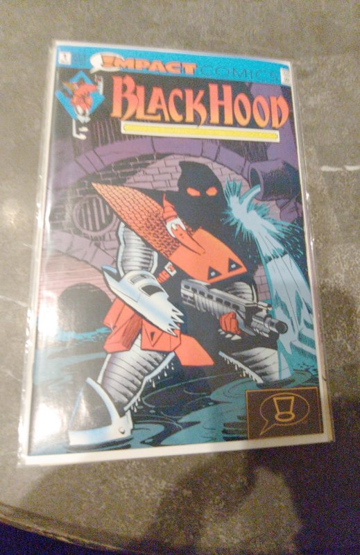 The Black Hood #1 (1991)