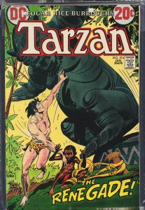 Edgar Rice Burroughs' Tarzan #216 (1973)