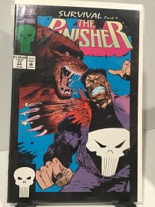 The Punisher #77 (1993)