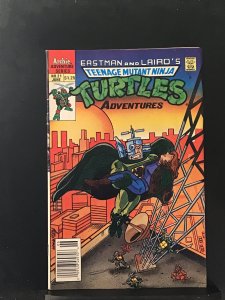 Teenage Mutant Ninja Turtles Adventures #21 Newsstand Edition (1991)