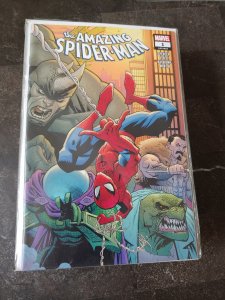 The Amazing Spider-Man #1 (2018)