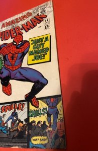 The Amazing Spider-Man #38 (1966) the guy named joe
