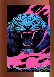 Kull, The Conqueror #1 - The Power & The Kingdom! (9.2) 1982