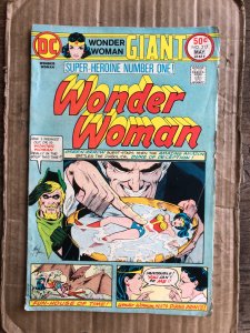 Wonder Woman #217 (1975)