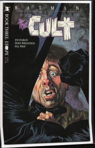 Batman: The Cult #3 (1988) Batman