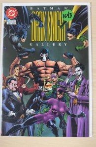 Batman: Dark Knight Gallery (1996)
