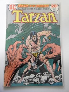 Edgar Rice Burroughs' Tarzan #224 (1973)