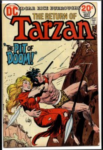 Edgar Rice Burroughs' Tarzan #223 (1973)
