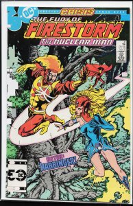 The Fury of Firestorm #41 (1985) Firestorm