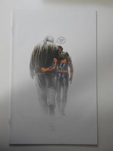 Ultimate Spider-Man #160 Joe Quesada Variant Cover (2011)