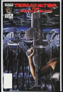 The Terminator: The Burning Earth #3 Direct Edition (1990) The Terminator