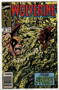 Wolverine #22 (1990) Wolverine
