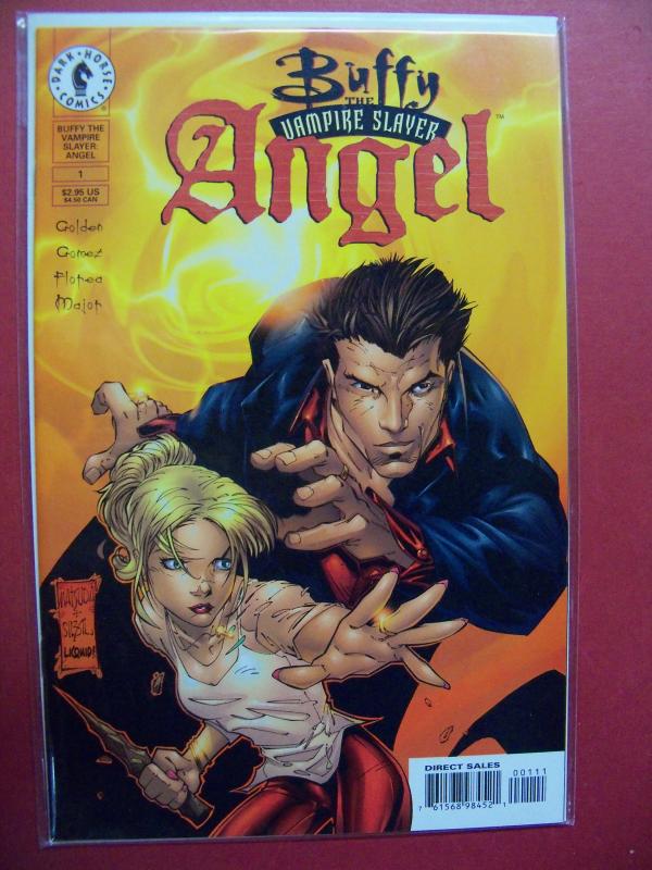 BUFFY THE VAMPIRE SLAYER ANGEL #1 ART COVER (9.4 or better) DARK HORSE