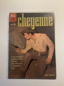 Cheyenne 17 Very Fine 8.0 Dell