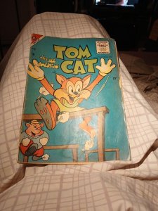ALL AMERICAN TOM CAT #6 CHARLTON COMICS 1957 EARLY SILVER AGE Funny Animal Book
