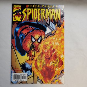 Peter Parker Spider-Man 21 Near Mint-  Cover by Mark Buckingham