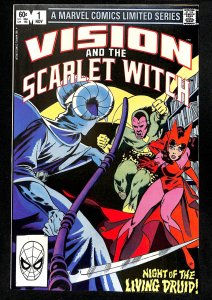 Vision and the Scarlet Witch (1982) #1