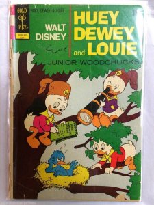 Huey Dewey and Louie Junior Woodchucks #19 Comic Book Gold Key 1973