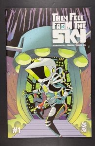 They Fell From the Sky #1 (2021)