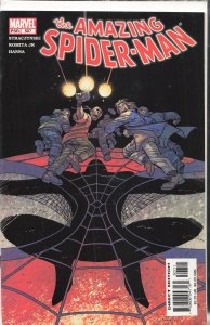 The Amazing Spider-Man #507 (2004)