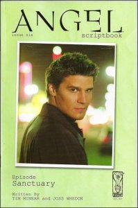 IDW Publishing Scriptbooks: Angel #6A VF/NM ; IDW